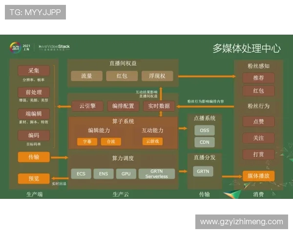 深圳篮球队的控制革新探索与未来发展路径分析