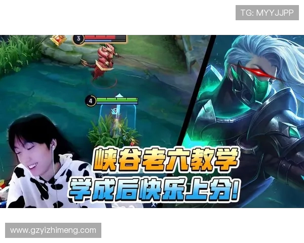 吴磊亲自揭秘王者荣耀游戏技巧与心得分享，助你轻松上分